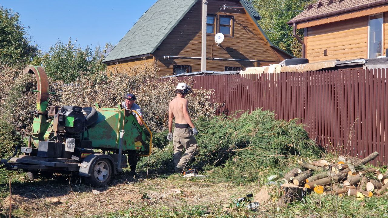 Уборка территории от старых деревьев